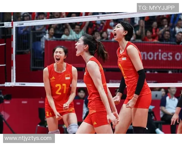 杭州排球队的力量解析与未来发展展望